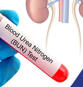 BLOOD UREA